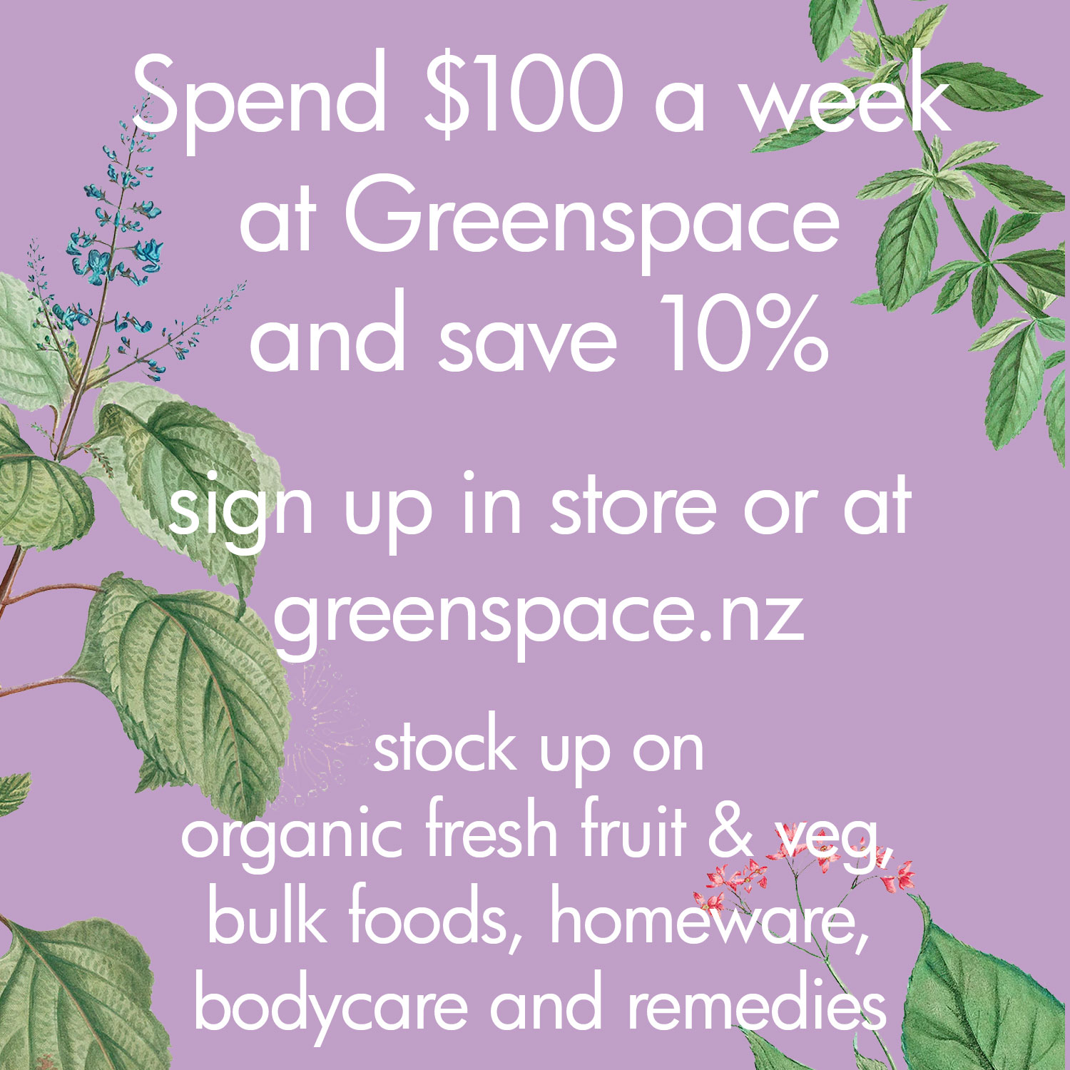 greenspace-the-waiheke-island-organic-shop-greenspace